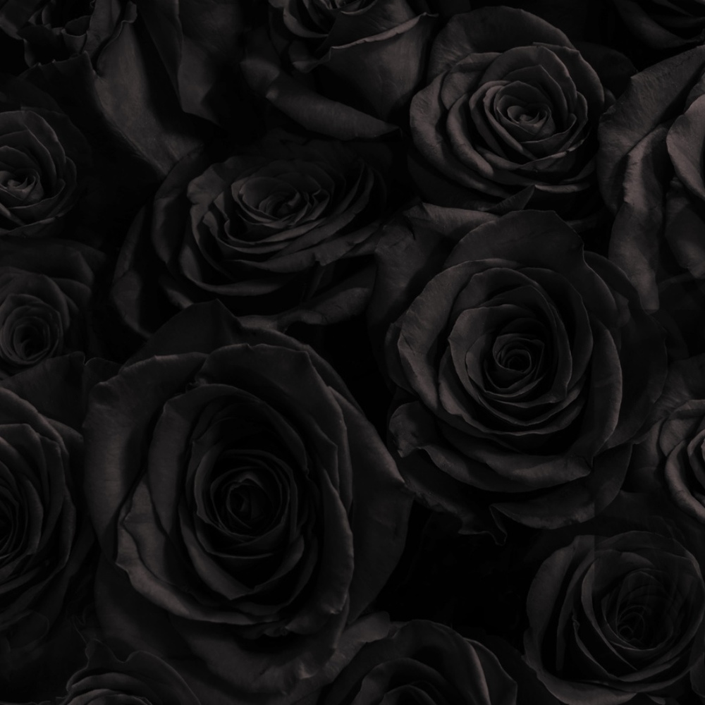 Meet your Posher, Briana